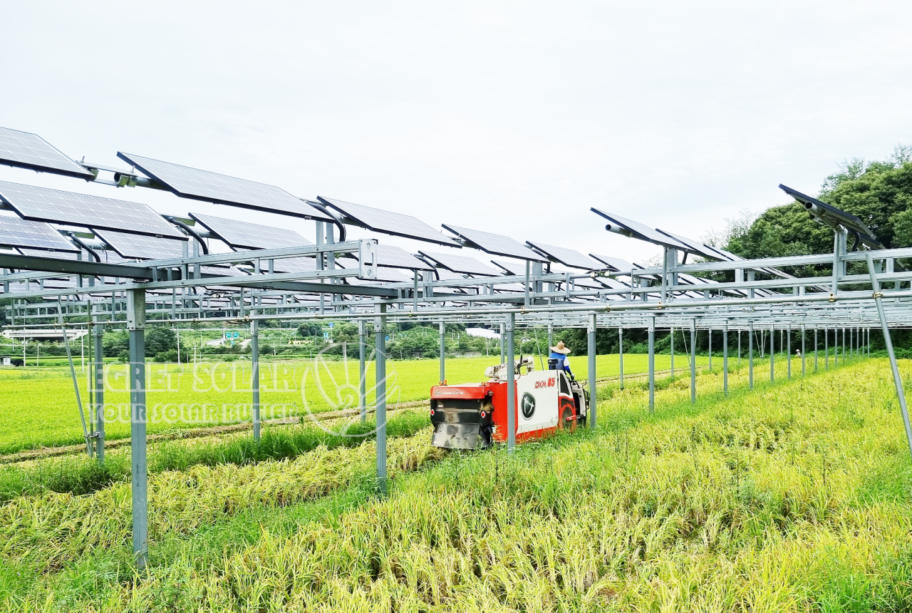 Montage van aluminium zonne-energie in de landbouw stimuleert duurzame landbouwontwikkeling