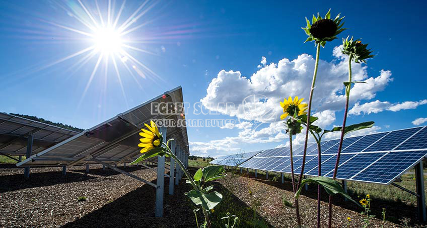 Uitgebreide classificatie van fotovoltaïsche zonnecellen