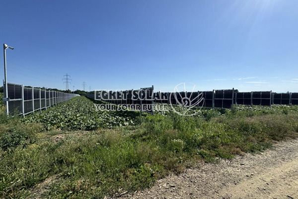 Benaderende zilvertret verticale landbouwkrachtopwekking